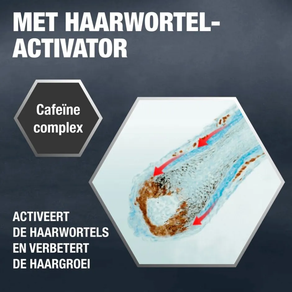 Outlet Alpecin Liquid Hair Energizer