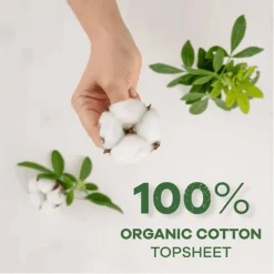 Best Always Dailies Cotton Large Inlegkruisjes