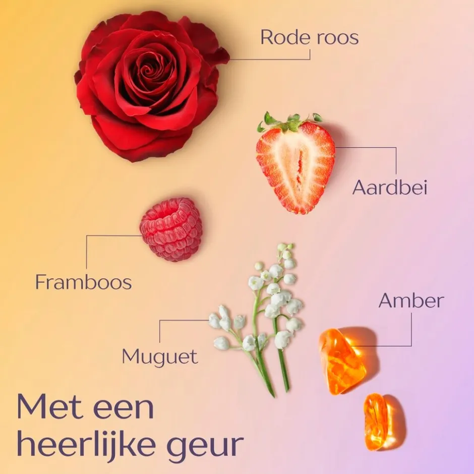 New Andrelon Andrélon Perfecte Krul 5-in-1 Bounce Back Spray