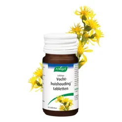 Discount A.Vogel Solidago Tabletten