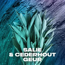 Discount Axe Apollo Deodorant & Bodyspray