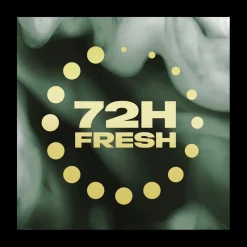 Outlet Axe Fine Fragrance Pure Coconut Deodorant Bodyspray