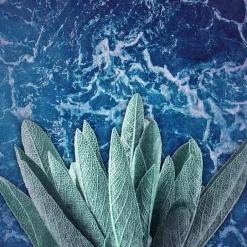 New Axe Marine Deodorant & Bodyspray