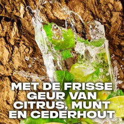 Sale Axe Wild Mojito & Cedarwood Deodorant & Bodyspray