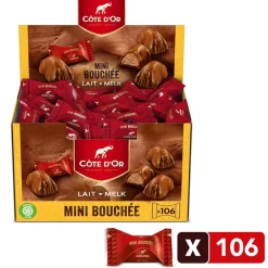 Cote D'Or Côte d'Or Chocolade Mini Bouchée Pralines