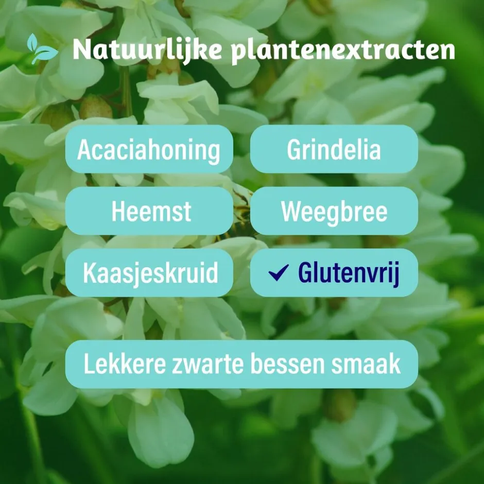 Sale Dampo Kids Alle Hoest Siroop