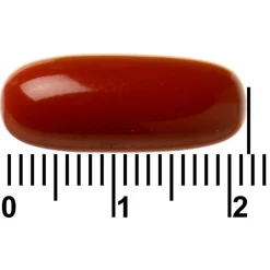 Best Davitamon Actifit 65+ Omega-3 Visolie Multivitamine & Mineralen Capsules