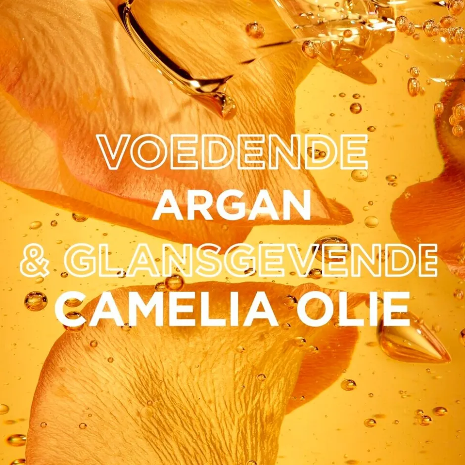 Clearance Loving Blends Garnier Argan- & Cameliaolie Conditioner