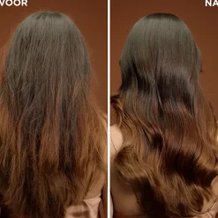 New Loving Blends Garnier Argan & Cameliaolie Haarmasker