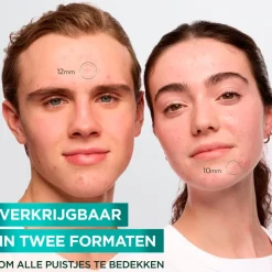 Outlet Garnier Skin Naturals Garnier PureActive Pimple Patches