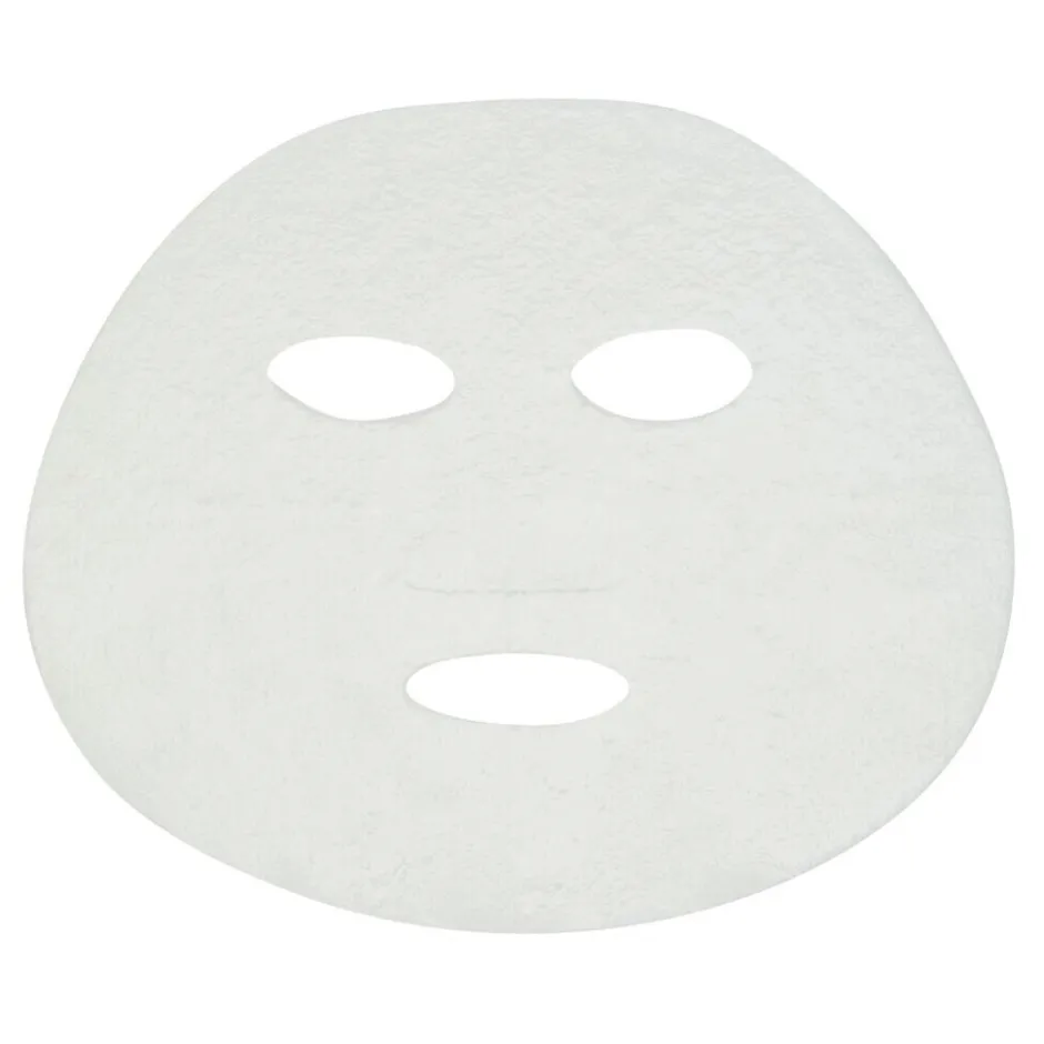 Outlet Garnier Skin Naturals Garnier SkinActive Hydra Bomb Groene Thee Tissuemasker