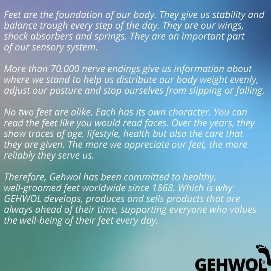 Best Gehwol Been-Balsem