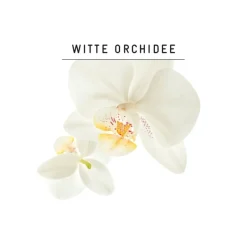 Sale Guhl Blond Glans & Verzorging Shampoo