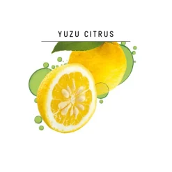 Clearance Guhl Fris & Luchtig Anti-Vet Shampoo