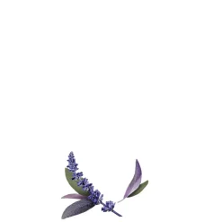 Discount Guhl Zilverglans & Verzorging Anti-Geel 2-in-1 Masker en Conditioner