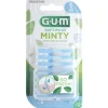 Online Gum Soft-Picks Minty Interdentale Tandenstokers
