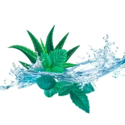 New Kneipp Cooling Aloë Vera Watermunt Voetbadkristallen