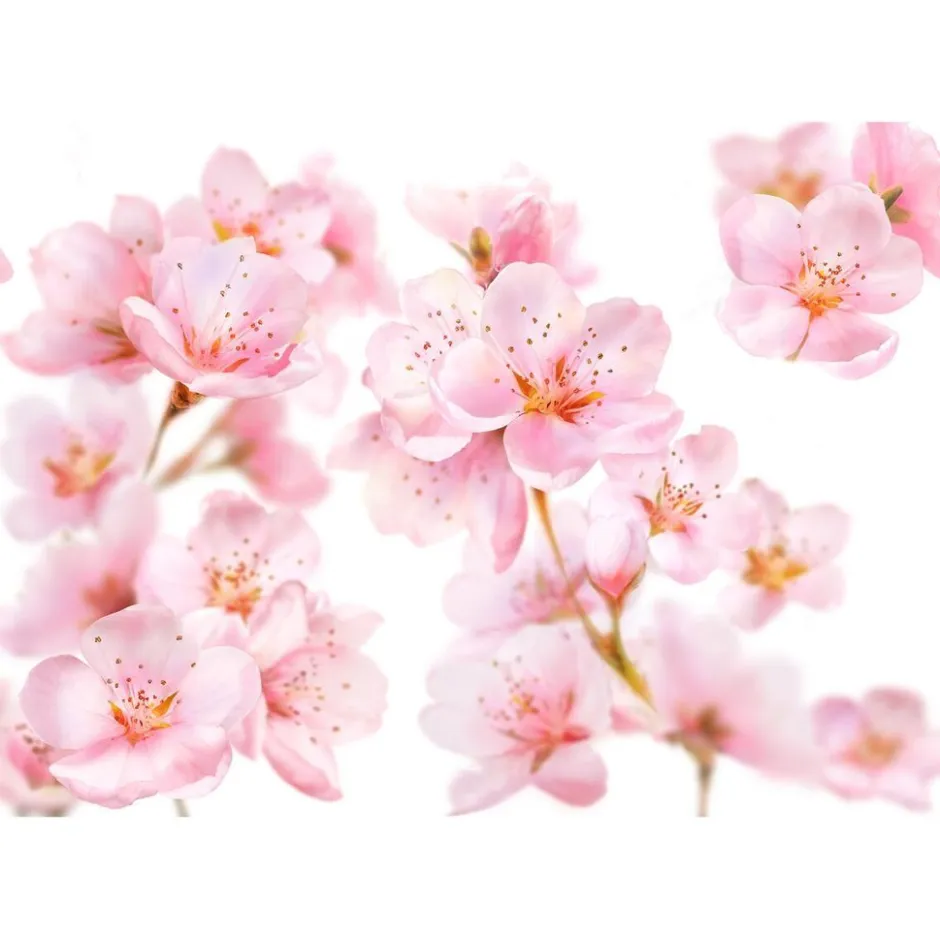 Online Kneipp Soft Skin Amandelbloesem Badschuim