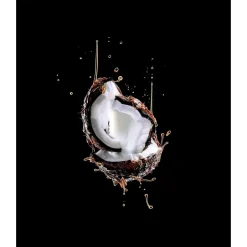 Outlet Elvive L Oréal Paris Extraordinary Oil Conditioner