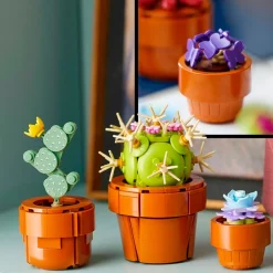 Best LEGO Botanicals LEGO Botanical Collection 10329 Miniplantjes
