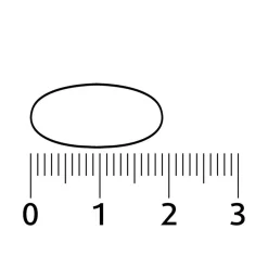 Sale Lucovitaal D-Mannose Cranberry Tabletten