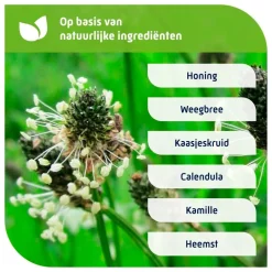 Online Natterman Voor Alle Hoest Nacht Adult