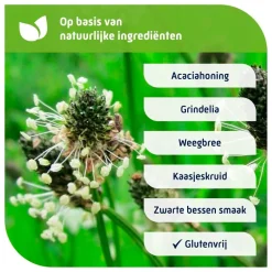 Outlet Natterman Voor Alle Hoest Kindersiroop