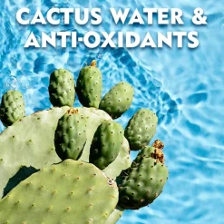 Nivea Men Fresh Kick Antitranspirant Roller