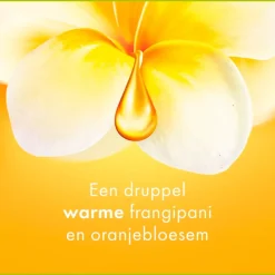 Clearance Palmolive Aroma Essence Forever Happy Douchegel