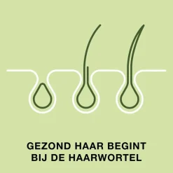 Discount Priorin Capsules