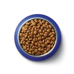 New One Purina Bifensis Adult Droog Kattenvoer met Zalm