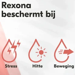 New Rexona Women Maximum Protection Confidence Antitranspirant Stick