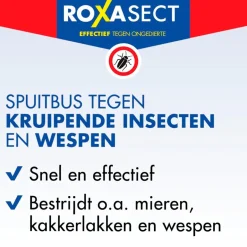 Hot Roxasect Spuitbus tegen Kruipende Insecten en Wespen