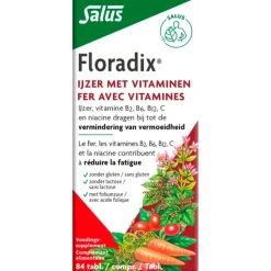 Floradix Salus Ijzer Tabletten