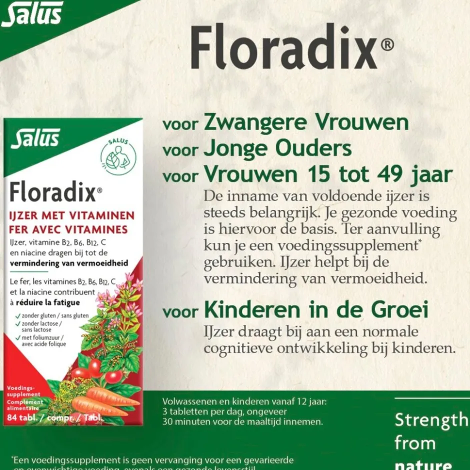 Floradix Salus Ijzer Tabletten