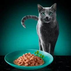 Online Sheba Délices du Jour in Saus met Kip, Kalkoen en Eend Maaltijdzakjes Kattenvoer