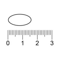 Online Trekpleister Ginkgo Biloba Tabletten