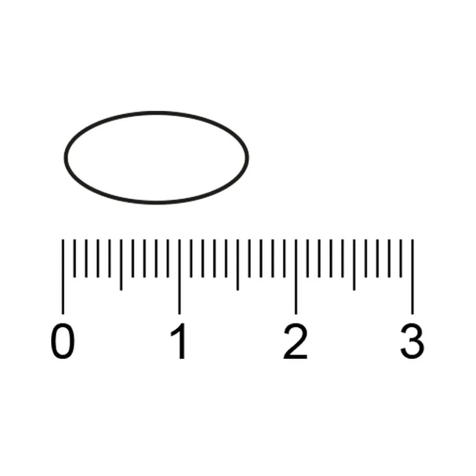 Online Trekpleister Ginkgo Biloba Tabletten