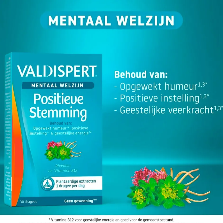 New Valdispert Mentaal Welzijn Positieve Stemming Dragees