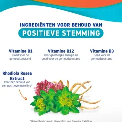 New Valdispert Mentaal Welzijn Positieve Stemming Dragees