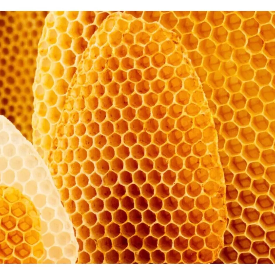 Sale Weleda Cold Cream Gezichtscrème